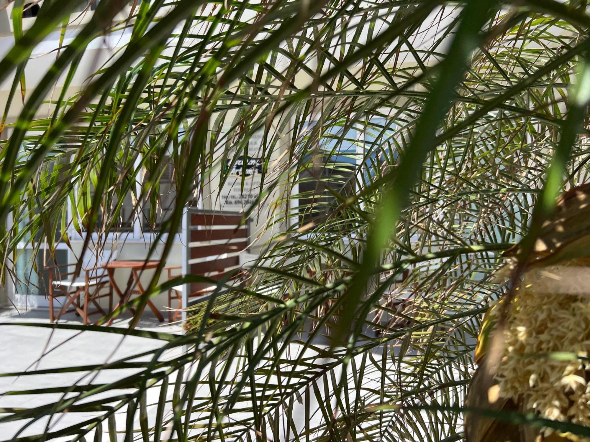 Artemis Rooms Two Steps By The Sea Platanés Exteriér fotografie